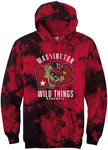 Tye-Dye PA Hoodie