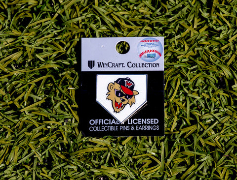Secondary Logo Home Plate Pin