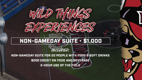 Non-Gameday Suite Rental